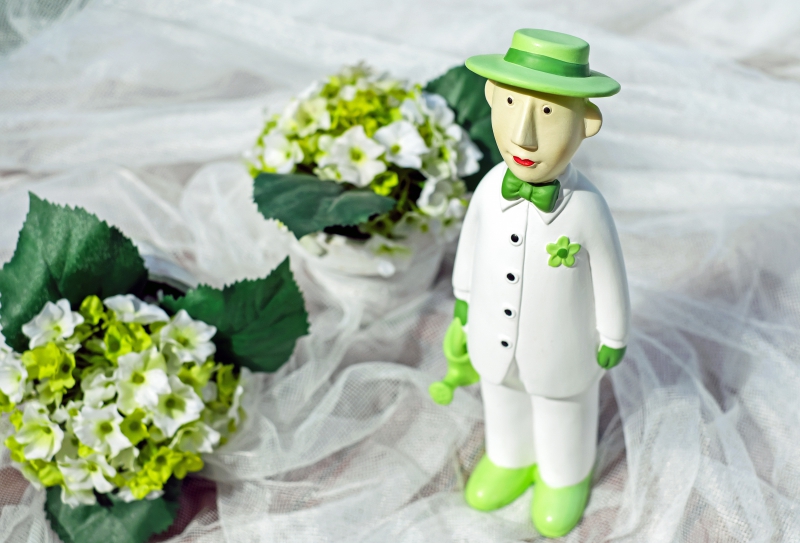 boutique-HYERES-min_man-person-flower-green-toy-fig-546529-pxhere.com